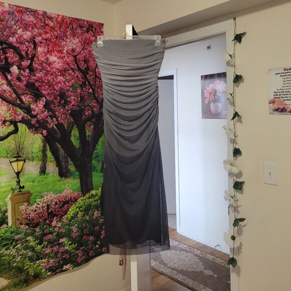 Zara Mesh Tube MAXI dress - Picture 1 of 3